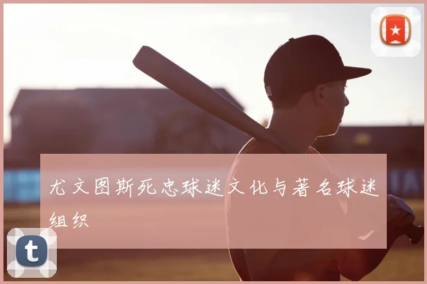 尤文图斯死忠球迷文化与著名球迷组织